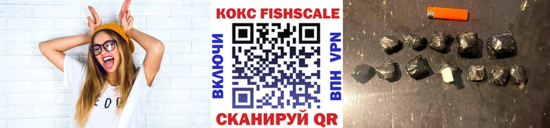 Cocaine Fish Scale  Купить закладки  Приозерск 