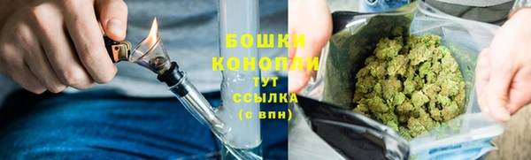 бошки Гусь-Хрустальный
