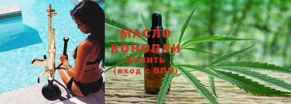 индика Горно-Алтайск