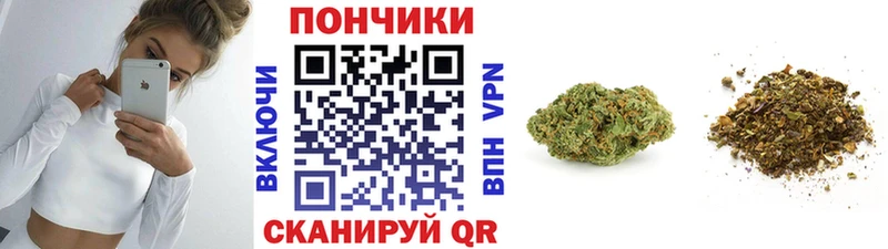 Бошки марихуана THC 21%  Купить  Приозерск 
